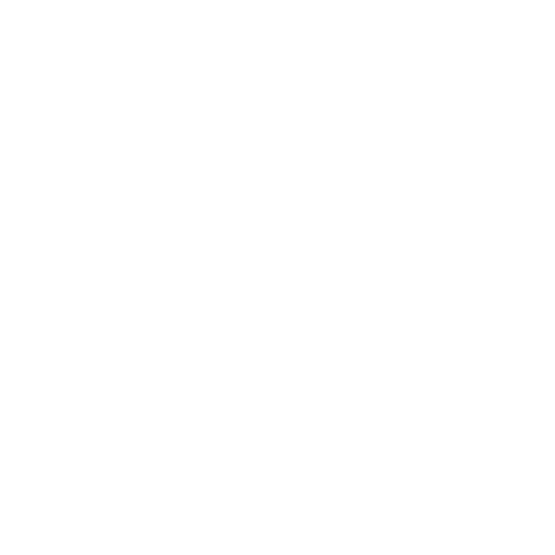 instagram-logo-white